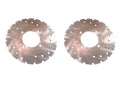 Set of 2 Front Brake Rotors for Polaris 5247961