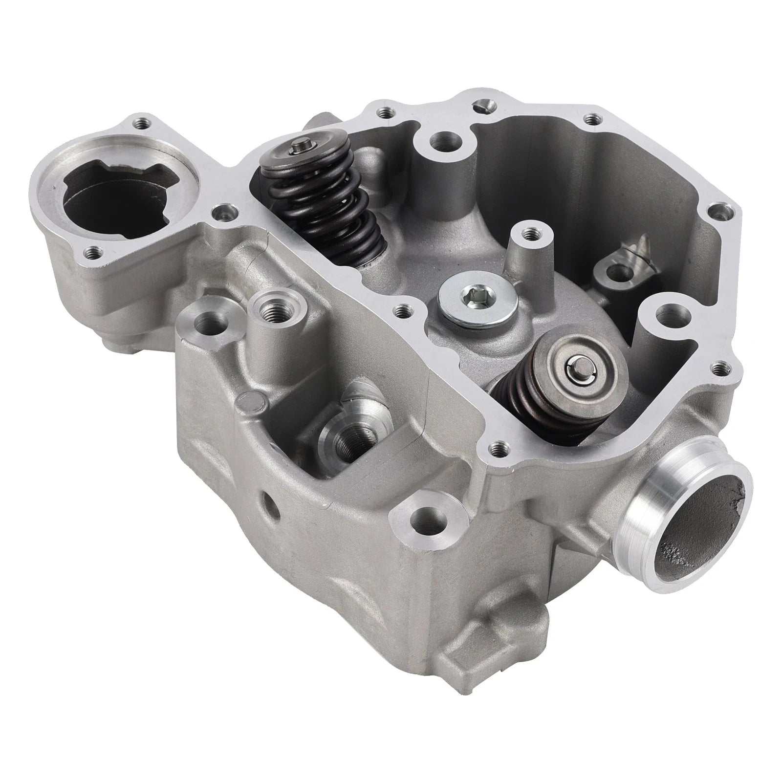 Cylinder Head Valves Kit for Honda Pioneer 500 SXS500 (2015–2023) 12200-HP7-A01
