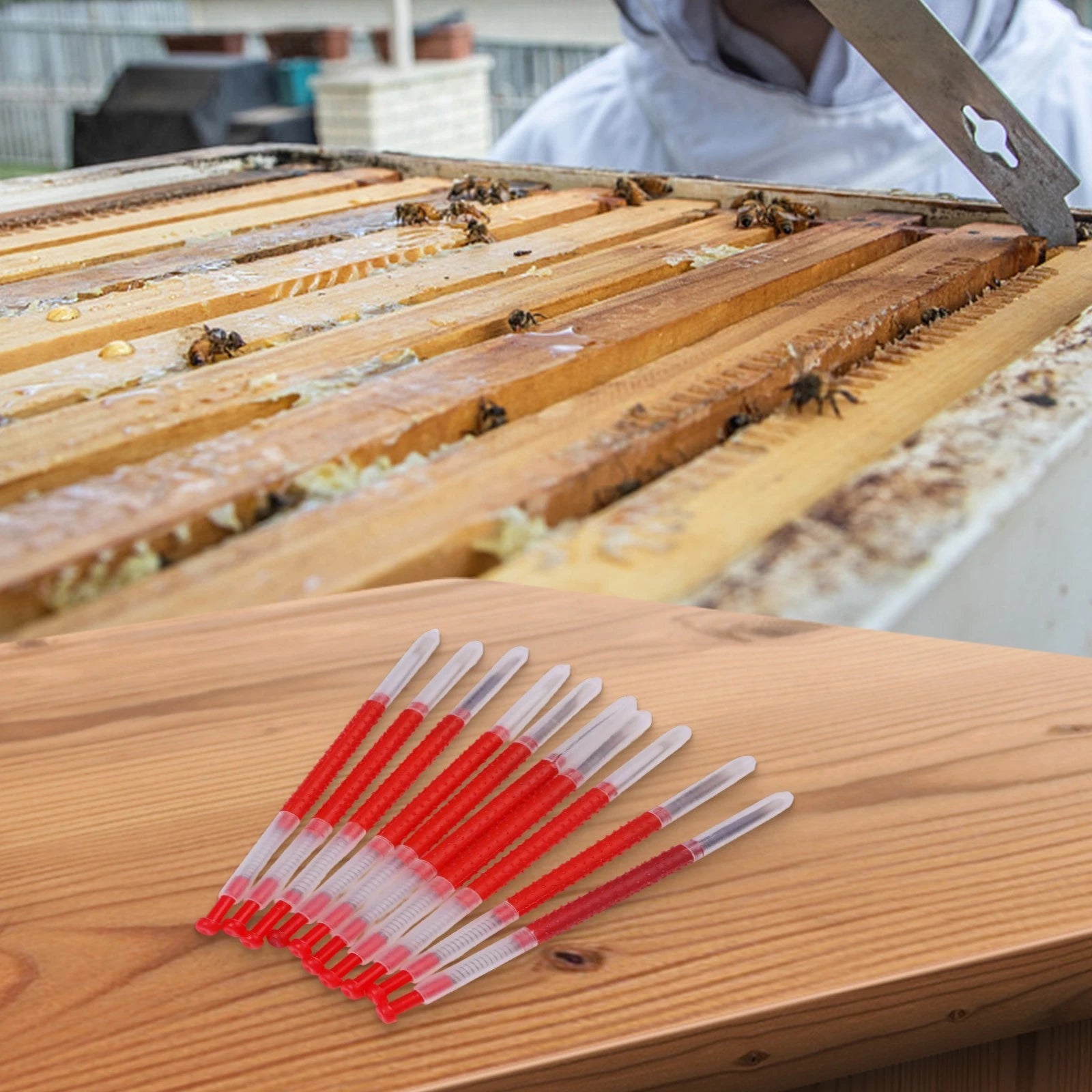 Bee Larva Grafting Kit for Royal Jelly Production (Pack of 10)
