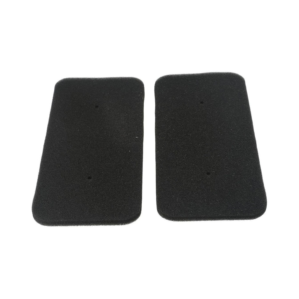 2Pcs Dust Foam Sponge Filter for Candy 40006731 (Condenser Dryer)