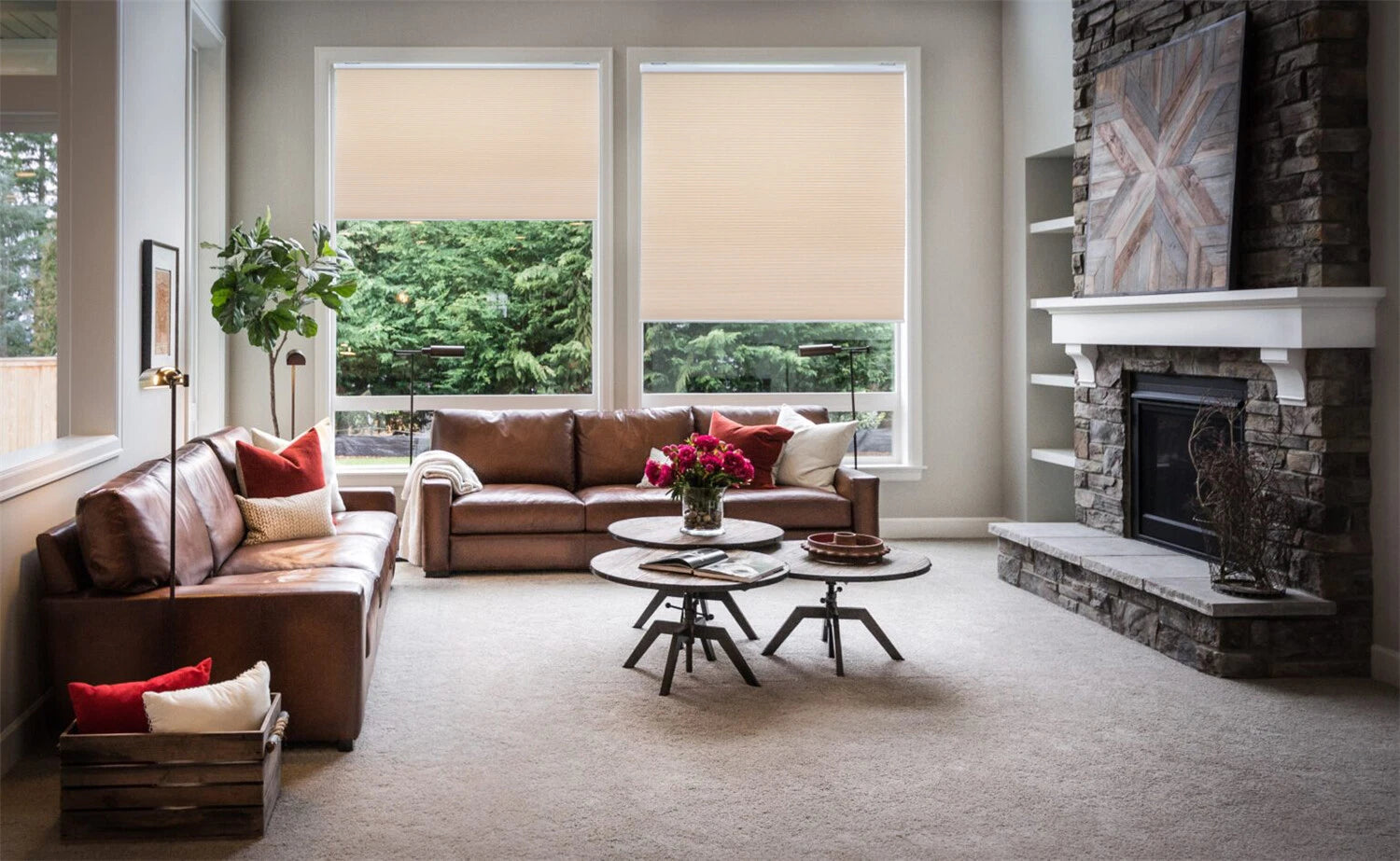 Cordless Cellular Shades Window Blind for Honeycomb Privacy (2023–2023)