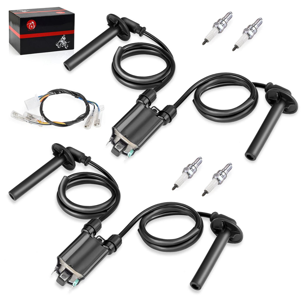Ignition Coil Spark Plug Set for Honda ST1100 (1991–2003)