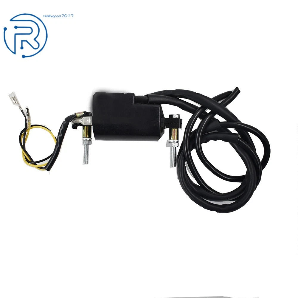 Dual Wire Ignition Coil for Honda Yamaha Suzuki Kawasaki