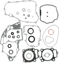 Motor Gasket Kit with Oil Seal for Honda (811268mse)