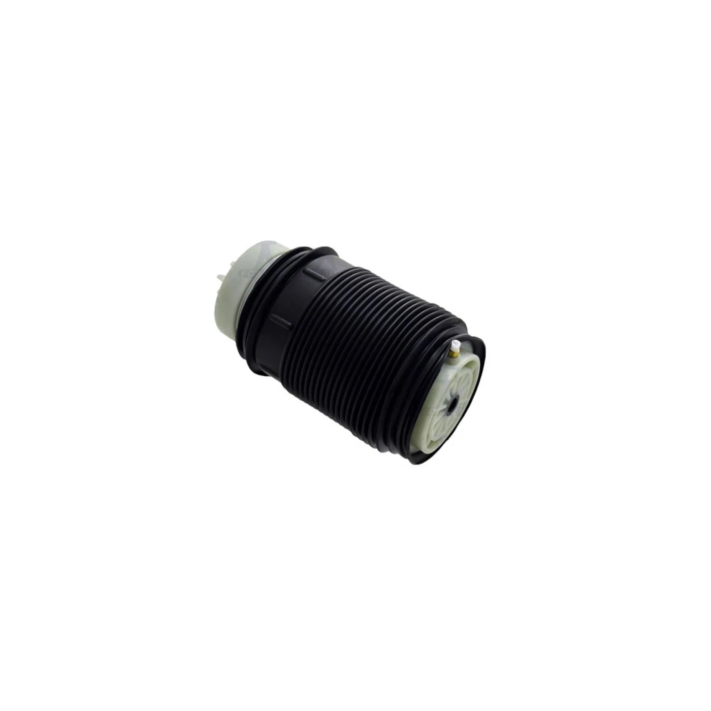 Air Spring Shock and Strut for Mercedes (Rear Right Side)