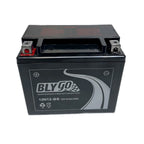 12V 12AH Battery for Dirt Quad Trail Bike ATV UTV Buggy Scooter (12N12-BS, YTX12-BS)