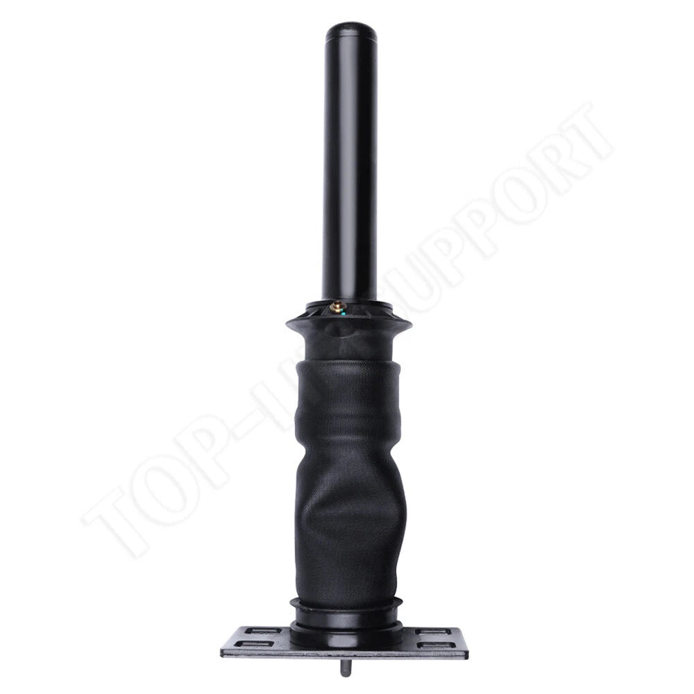 Air Strut Cab Shock Absorber for International ProStar
