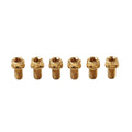 6pcs M6x20mm Titanium Torx Head Flange Bolts for Bike Motorcycle