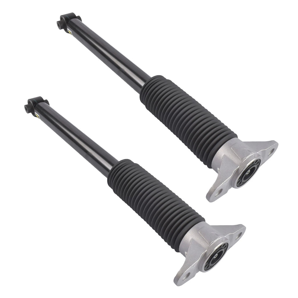 2X Rear Shock Absorbers Struts for Tesla Model 3 (2017–2021)