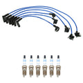NGK 8mm Wire Set & Bosch Platinum Spark Plug Kit for Aerostar Navajo (1990–1997)