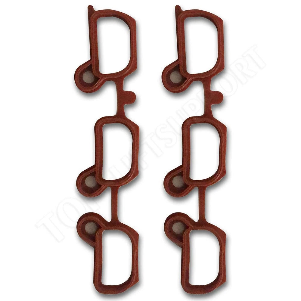 Gasket for BMW 325i 525i M54 E46 E39
