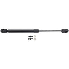 Hood Lift Supports Set of 2 for Dodge (Driver & Passenger Side)