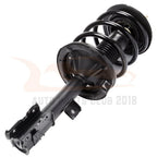 Set of 4 Struts & Shocks Springs Mount for Nissan Murano (2003–2007)