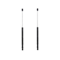 Hatch Lift Support Set of 2 for Audi