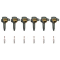 Set of 6 NGK Ignition Coils & Ruthenium HX Spark Plugs for Ford Lincoln (3.5L V6 Turbo)