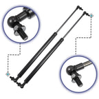 2 Pcs Rear Hatch Liftgate Gas Lift Supports for Nissan Skyline (1999–2002)