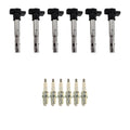 Set of 6 NGK Ignition Coils & Platinum Spark Plugs for Q7 3.0 V6