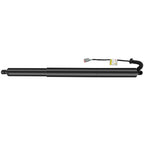 2X Lift Supports for Ford Edge (2015–2018) Gas Struts Liftgate