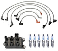 Set of 6 Denso Ignition Coil & Iridium Spark Plugs for Ford F-150