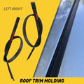 Roof Drip Molding Trim Set of 2 Left & Right for Tundra (2007–2020) 755520C050