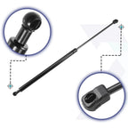 2 Pcs Front Hood Lift Supports Struts for Toyota Highlander (2019–2024)