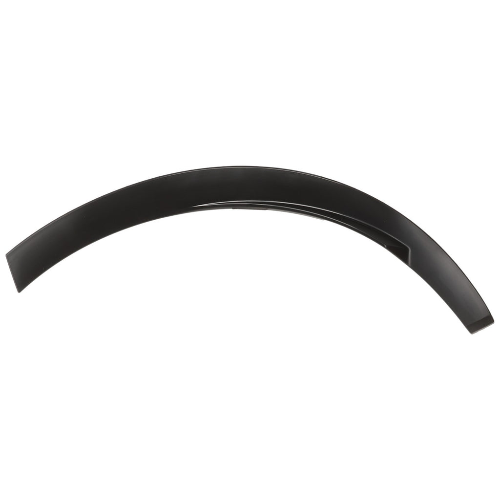 Fender Trim Molding for RX450h+