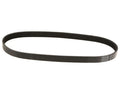 Air Conditioning Multi Rib Belt for Mazda 3 (2006, 2010–2013) Y155XT