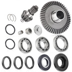 Rear Differential Pinion Ring Gear Bearings Kit for Honda TRX250 (2001–2023)