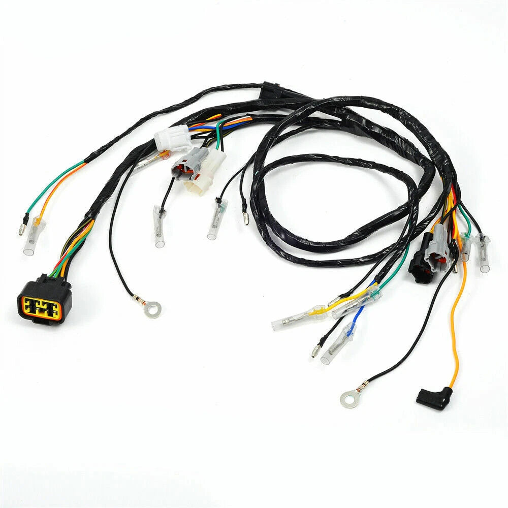 Wire Harness for Yamaha Blaster 200 YFS200 (2003-2006)
