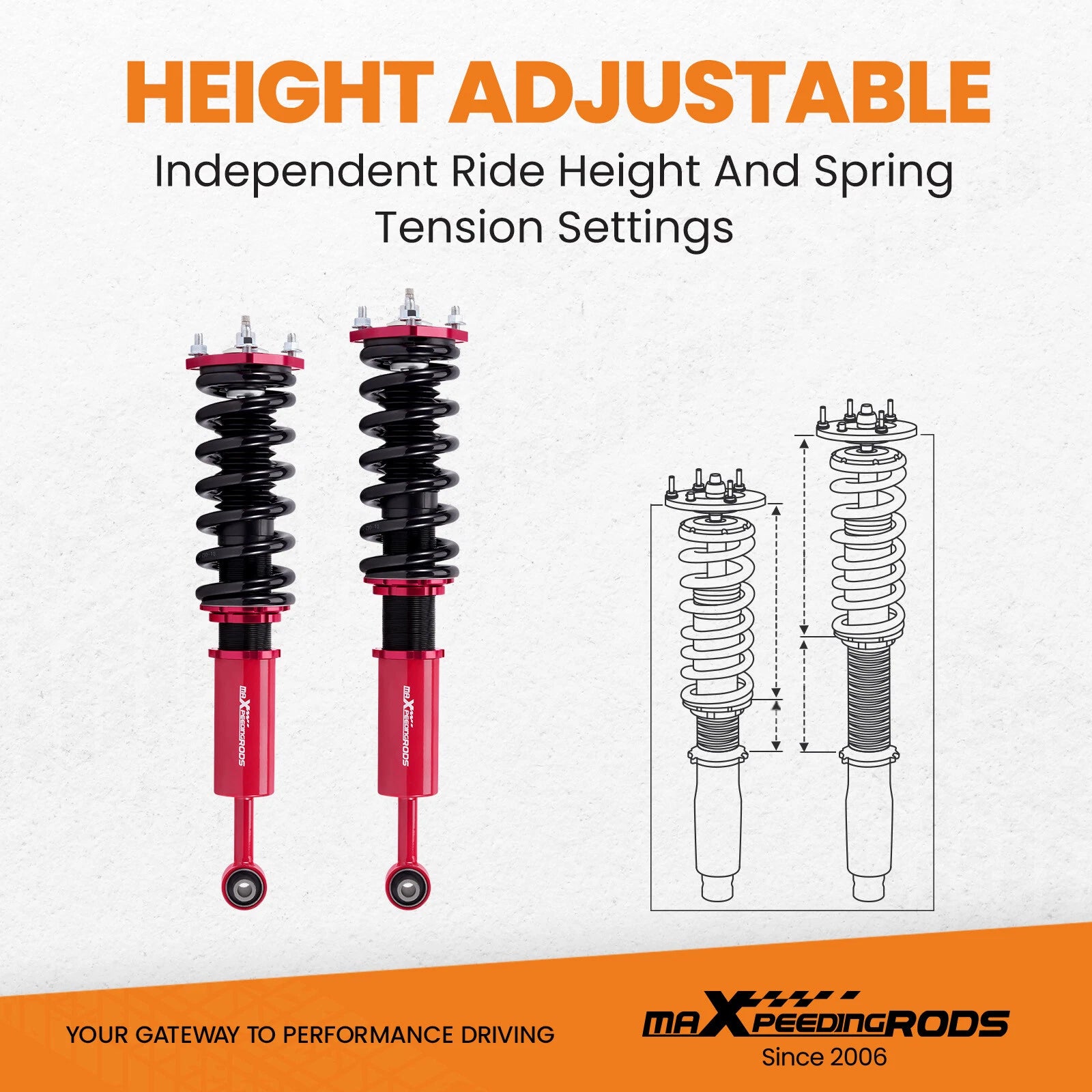 Adjustable Coilover Lowering Kit for Lexus IS300 (2001-2005)