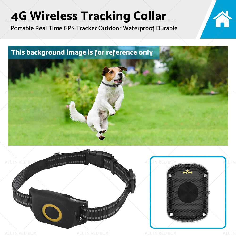 GPS Dog Tracker for Pet Collar (Waterproof, 4G, Real Time)