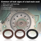 Set of 2 Rear Crankshaft Oil Seals for Toyota Avalon (1995–2004) 9031138034/9031140022
