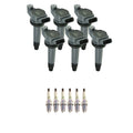 Set of 6 NGK Ignition Coils & Platinum Spark Plugs for Camry Highlander Sienna (3.3)