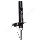 Set of 4 Struts for Ford Focus (2012–2013)