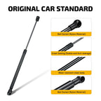 2X Rear Hatch Gas Spring Lift Supports for Truck (C16-22632)