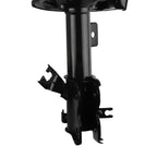 Front Strut w/ Coil Spring for Nissan Maxima (2004–2008)