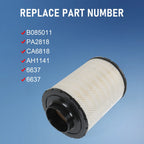 Air Filter for Cummins (3912020)