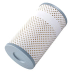 12x Fuel Filter for Freightliner Columbia CL120 (2008-2017)