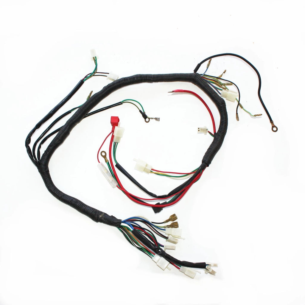 Engine AC Wiring Harness for 150cc 250cc PIT Quad Dirt Bike ATV Buggy (2000–2023)
