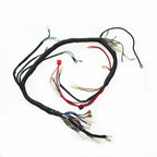 Engine AC Wiring Harness for 150cc 250cc PIT Quad Dirt Bike ATV Buggy (2000–2023)