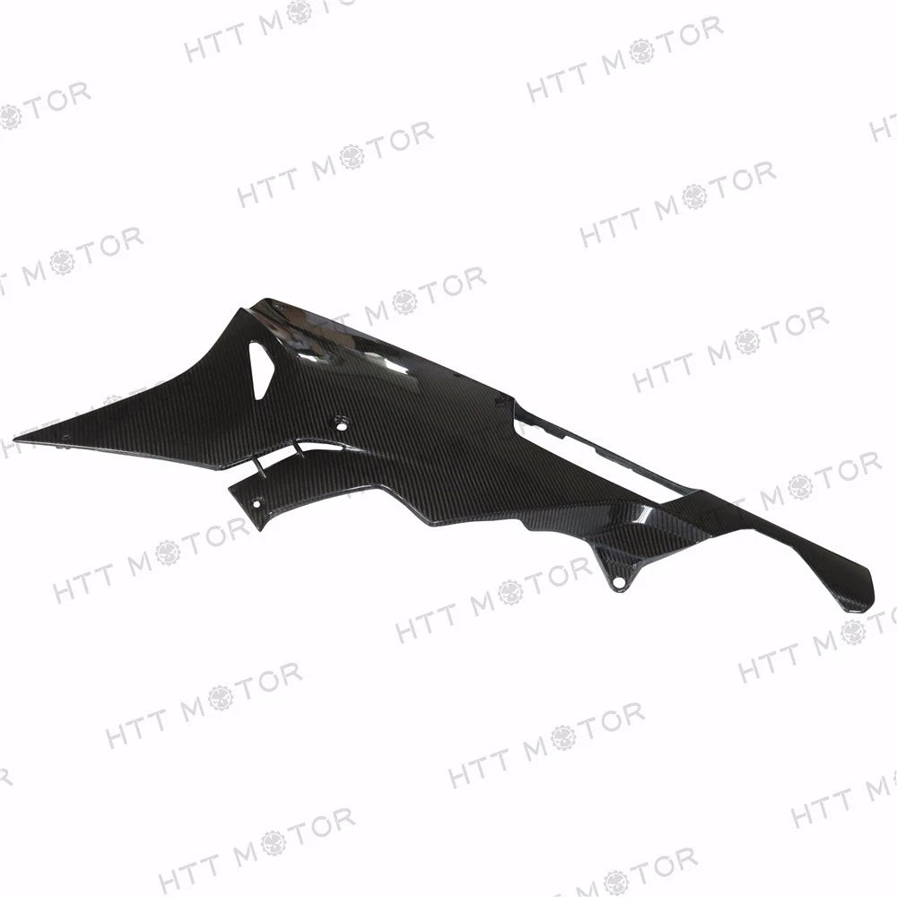 Lower Bodywork Belly Pan Fairing for BMW S1000RR (2015–2017) - Carbon Fiber