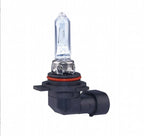 10 x Halogen Headlight Light Bulb Car Lamp Globe 12V 55W for