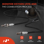 2X O2 Oxygen Sensors for Ford Fusion (2013)