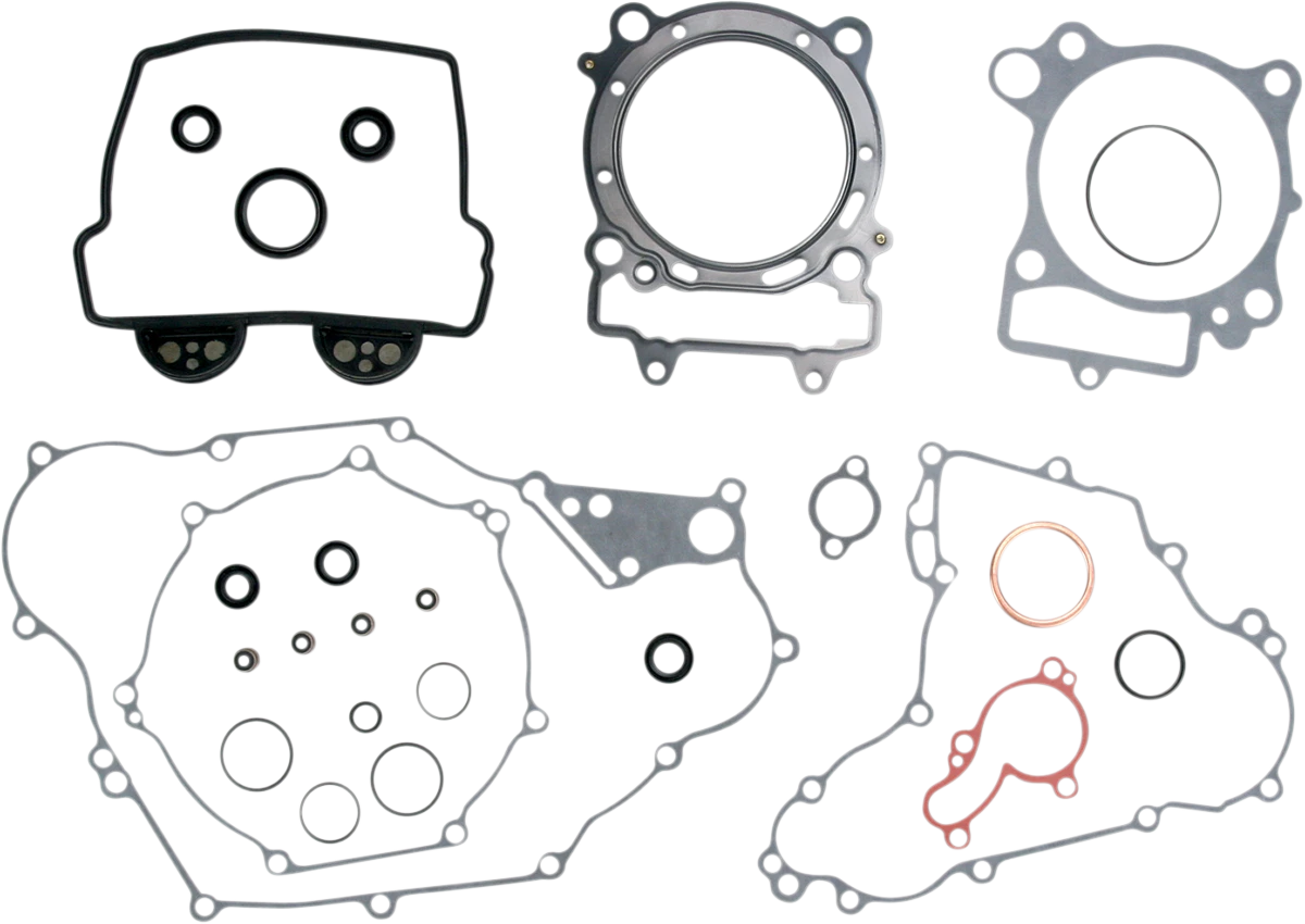 Motor Gasket Kit with Oil Seal for Kawasaki (811920mse)