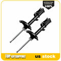 Rear Strut Assemblies for Lexus RX330, RX350 (2004–2007)