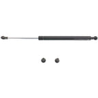 Lift Support for Nissan Maxima (1995–1999)