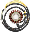 Stator for Rick's Motorsport Electric (21-567)