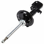Set of 4 Strut and Gas Shocks for Scion TC (2005–2011)