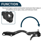 Hood Hinges for Toyota Corolla (2019–2021) No. 5341012680 1 Pair