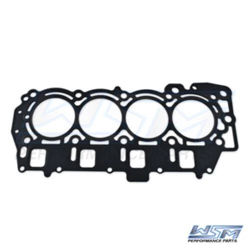 WSM Gasket for